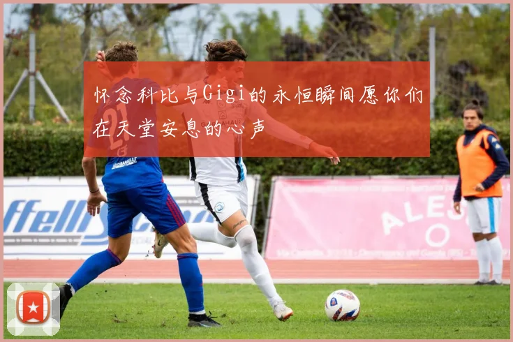怀念科比与Gigi的永恒瞬间愿你们在天堂安息的心声