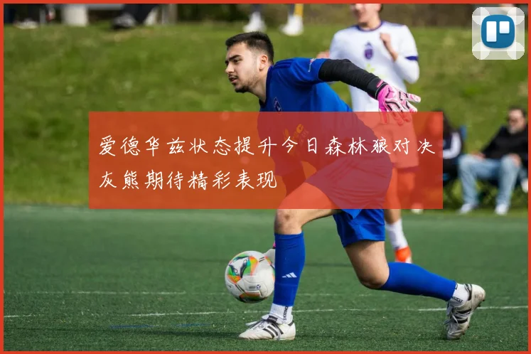 爱德华兹状态提升今日森林狼对决灰熊期待精彩表现