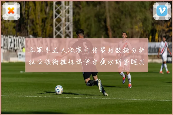 本赛季五大联赛门将零封数据分析拉亚领衔裤袜诺伊尔桑切斯紧随其后