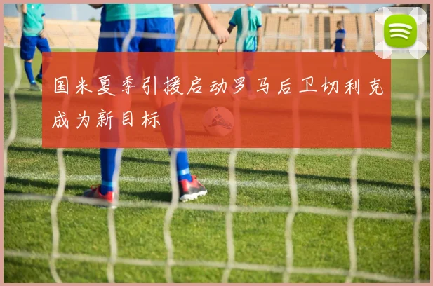 国米夏季引援启动罗马后卫切利克成为新目标