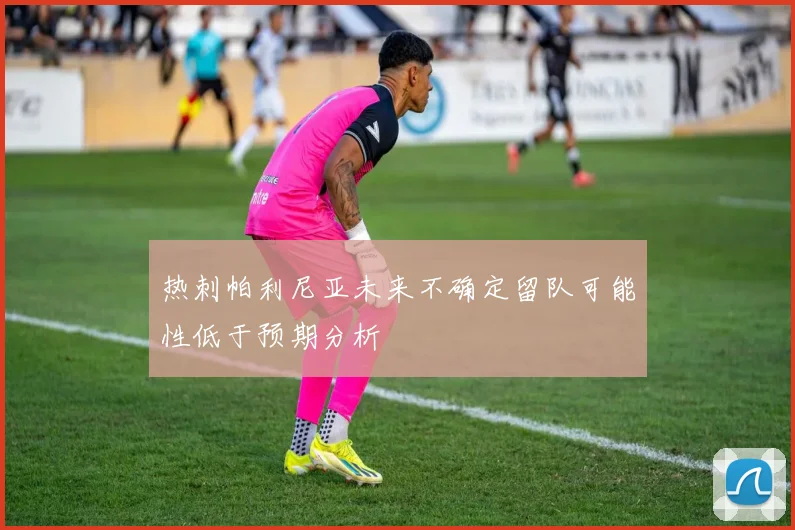 热刺帕利尼亚未来不确定留队可能性低于预期分析