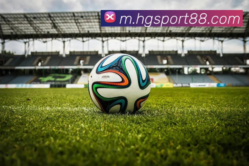 皇冠体育平台生态图